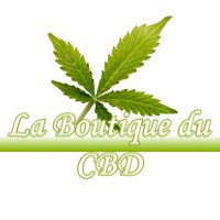 LA BOUTIQUE DU CBD CASSEN 